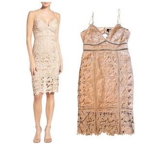 Bardot Botanica Lace Cut-Out Midi Dress Beige Size 8